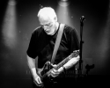 David Gilmour - Verona 2016 - ph Daniele Angeli (17)