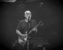 David Gilmour - Verona 2016 - ph Daniele Angeli (19)