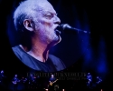 David Gilmour - Verona 2016 - ph Daniele Angeli (23)