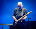 David Gilmour - Verona 2016 - ph Daniele Angeli (9)