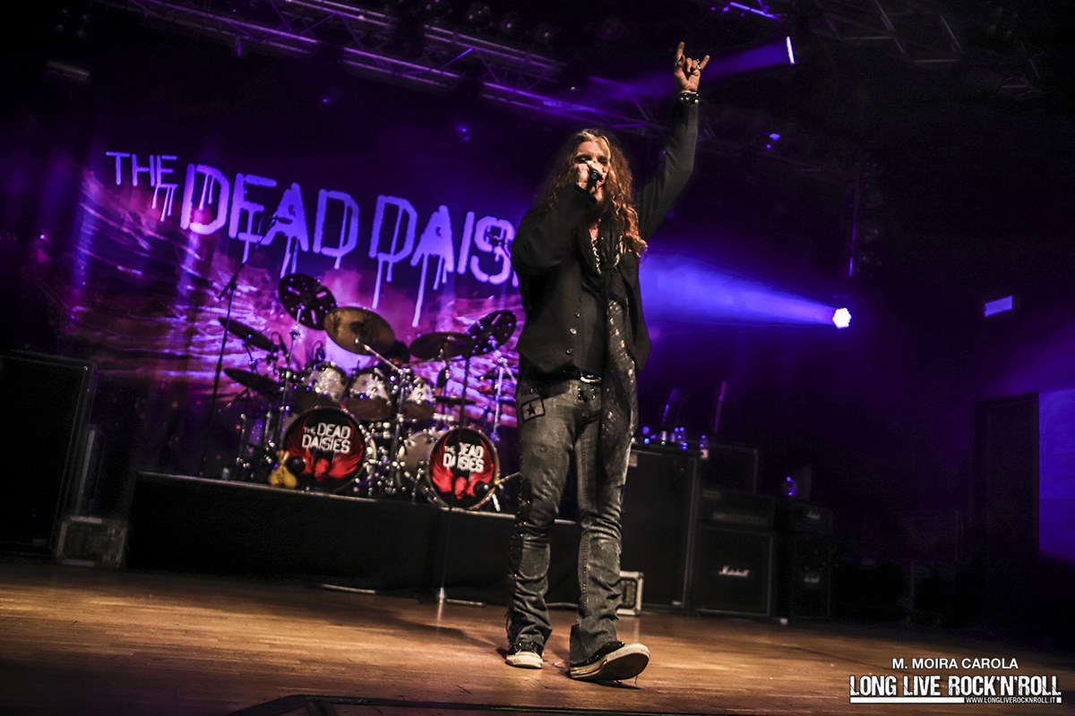 06_thedeaddaisies