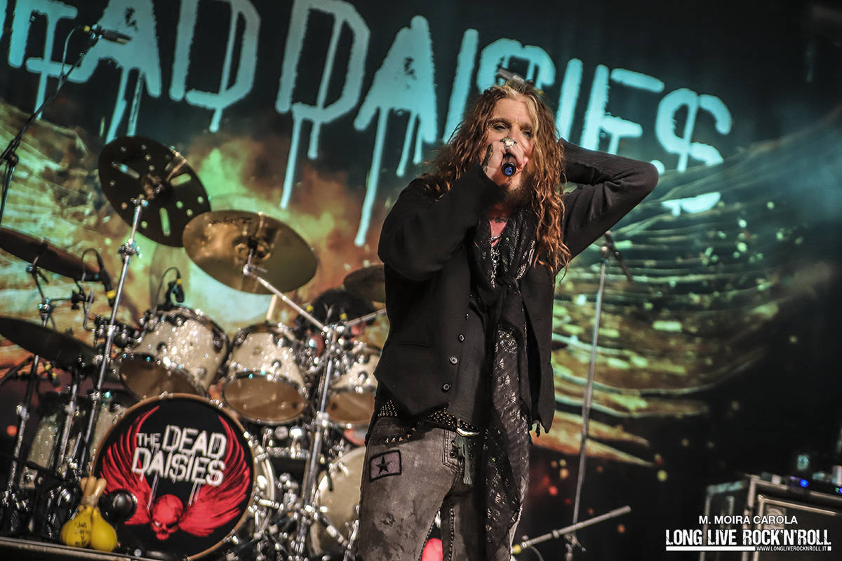 17_thedeaddaisies