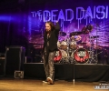 02_thedeaddaisies