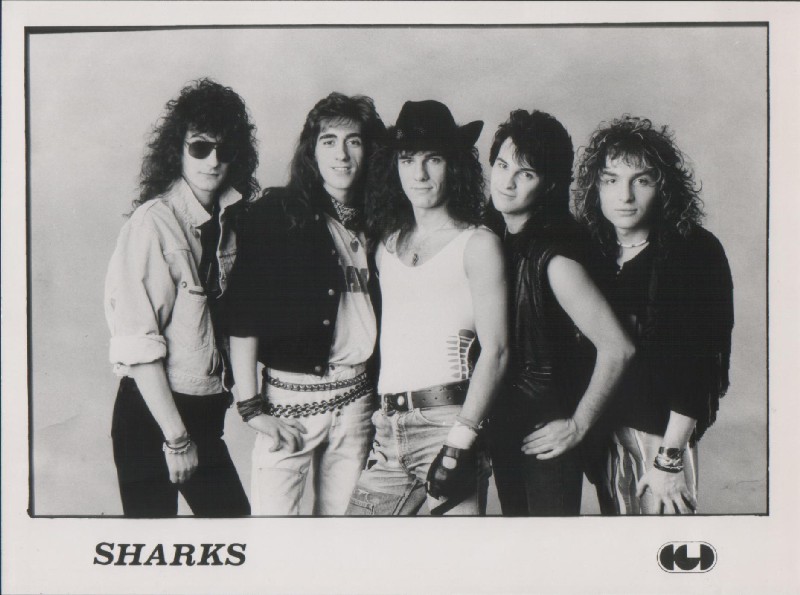 SHARKS2